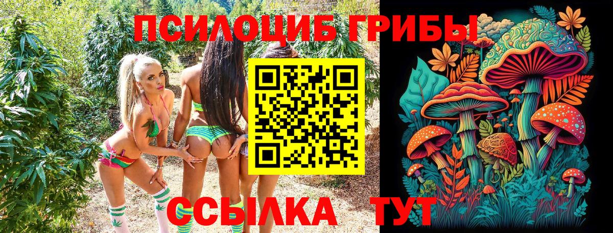 Ейск  Галлюциногенные грибы прущие грибы  Вход с VPN  Галлюциногенные грибы ЛСД 